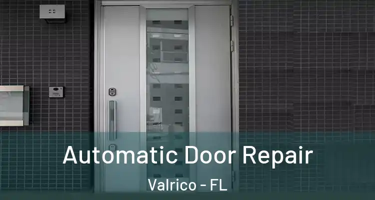  Automatic Door Repair Valrico - FL