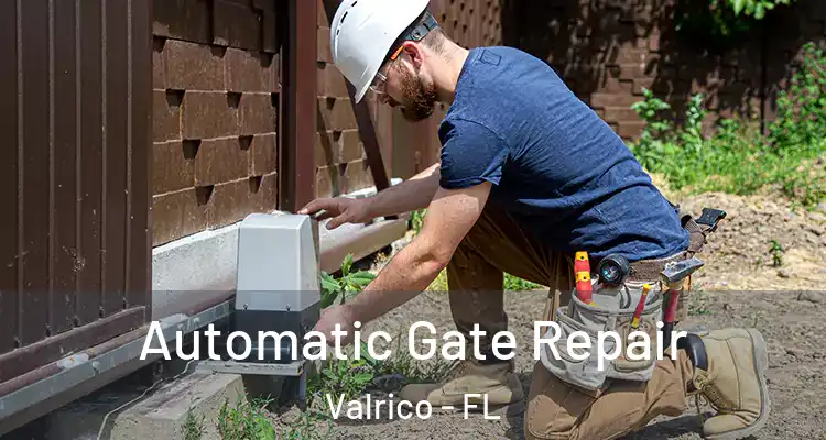  Automatic Gate Repair Valrico - FL