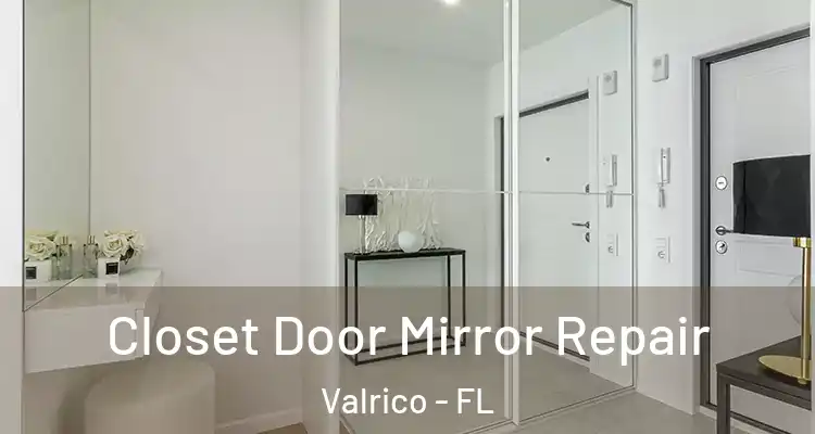  Closet Door Mirror Repair Valrico - FL