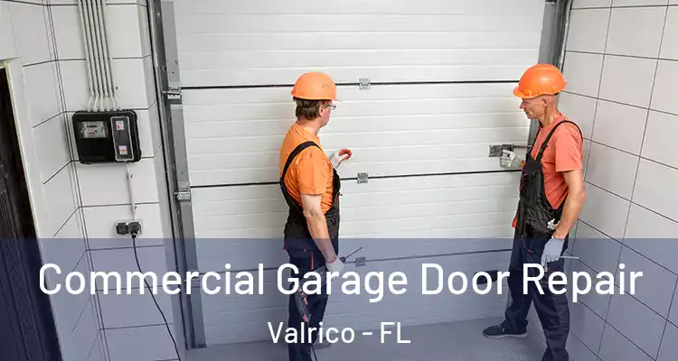  Commercial Garage Door Repair Valrico - FL