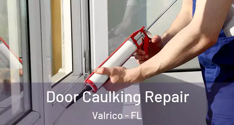  Door Caulking Repair Valrico - FL