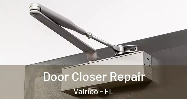  Door Closer Repair Valrico - FL