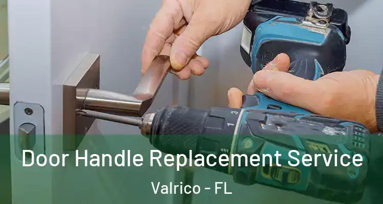  Door Handle Replacement Service Valrico - FL