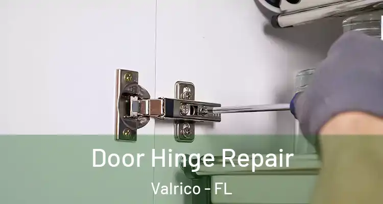  Door Hinge Repair Valrico - FL