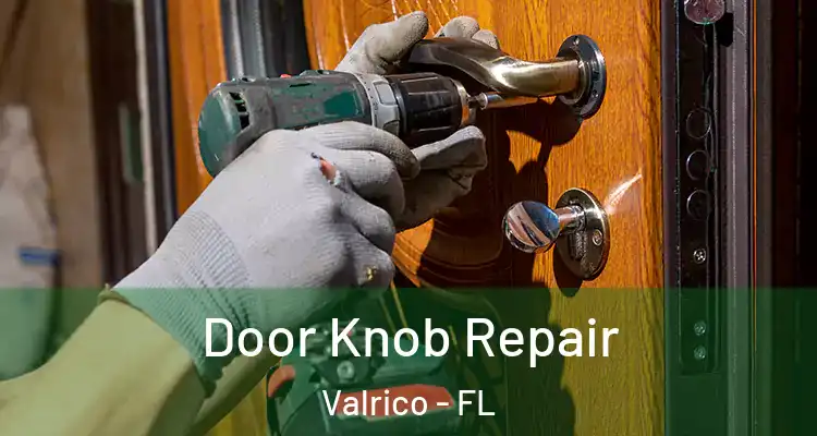  Door Knob Repair Valrico - FL