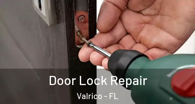  Door Lock Repair Valrico - FL