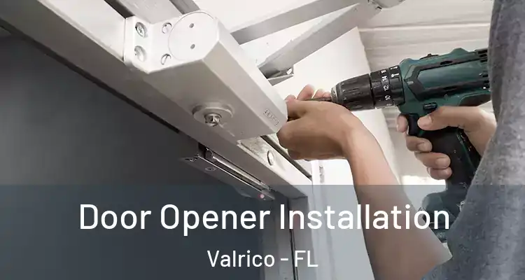  Door Opener Installation Valrico - FL