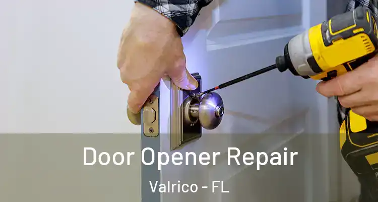  Door Opener Repair Valrico - FL