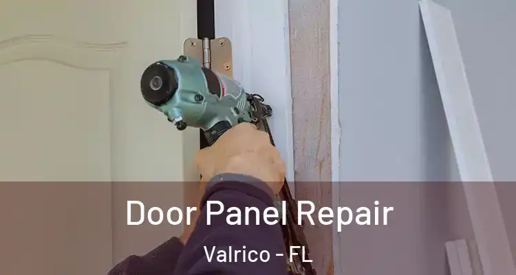  Door Panel Repair Valrico - FL