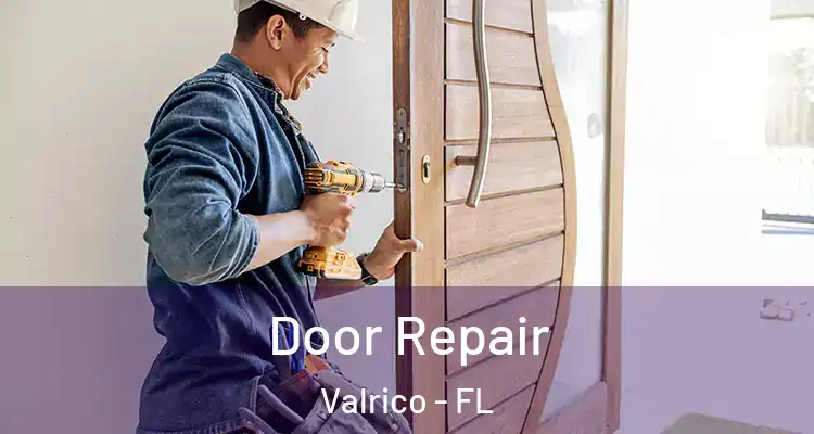  Door Repair Valrico - FL