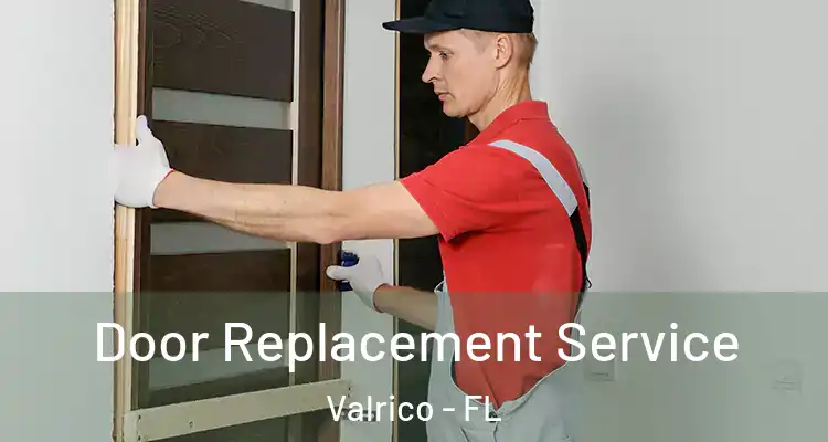  Door Replacement Service Valrico - FL