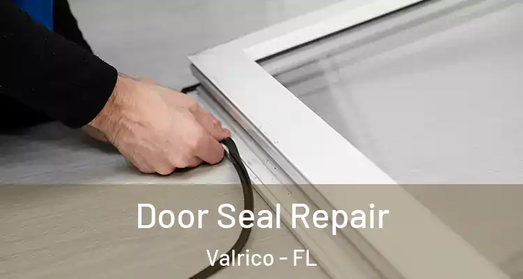  Door Seal Repair Valrico - FL