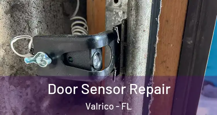 Door Sensor Repair Valrico - FL