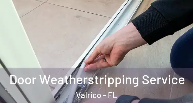  Door Weatherstripping Service Valrico - FL