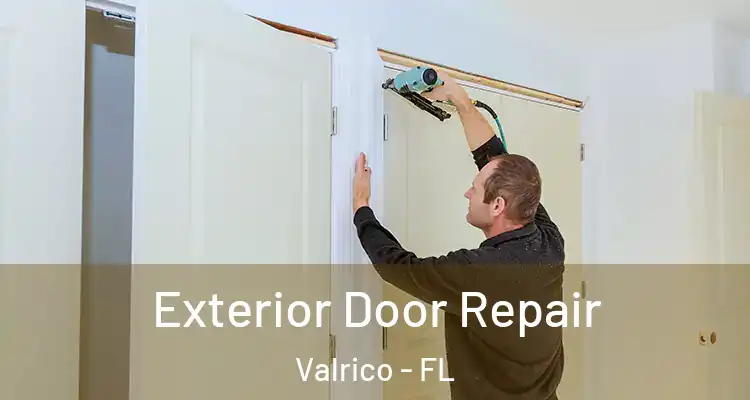  Exterior Door Repair Valrico - FL