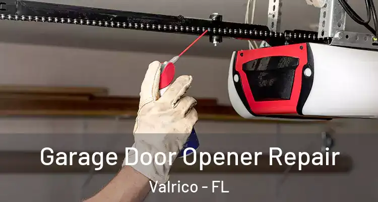  Garage Door Opener Repair Valrico - FL