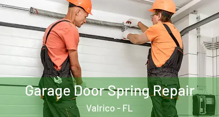  Garage Door Spring Repair Valrico - FL