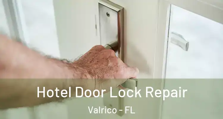  Hotel Door Lock Repair Valrico - FL