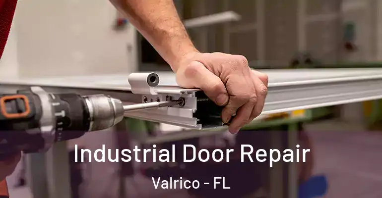  Industrial Door Repair Valrico - FL