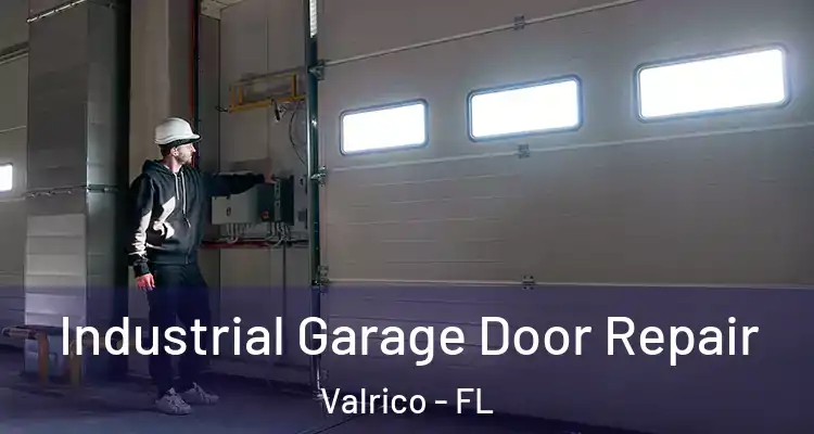  Industrial Garage Door Repair Valrico - FL