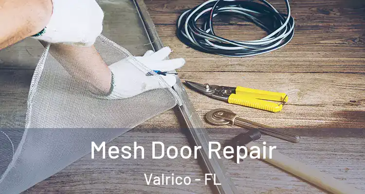 Mesh Door Repair Valrico - FL
