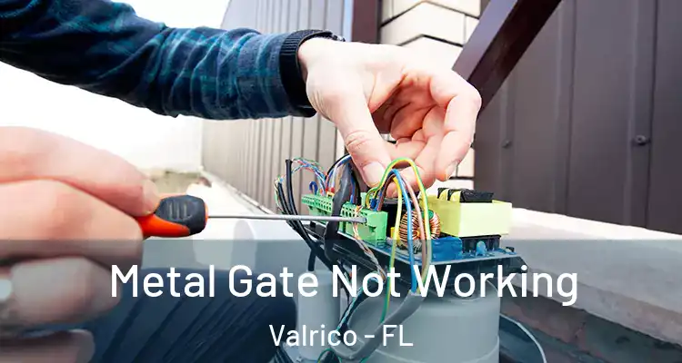  Metal Gate Not Working Valrico - FL