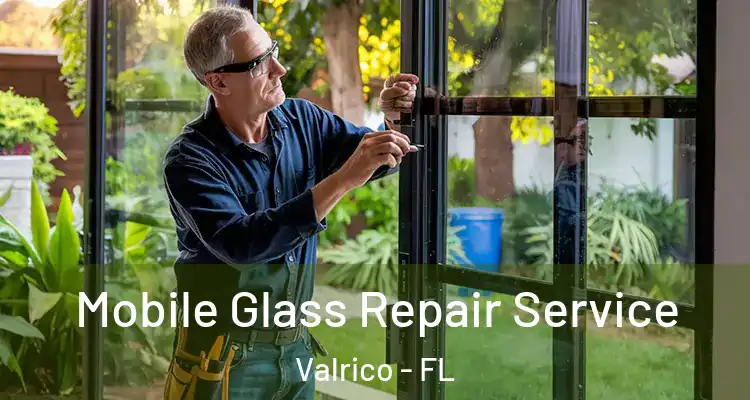  Mobile Glass Repair Service Valrico - FL