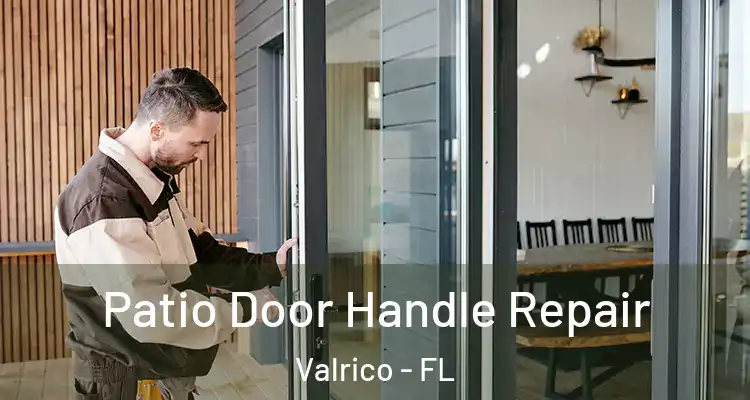 Patio Door Handle Repair Valrico - FL