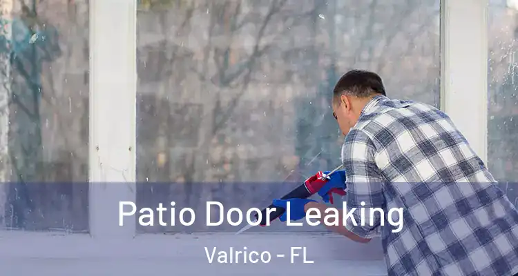  Patio Door Leaking Valrico - FL