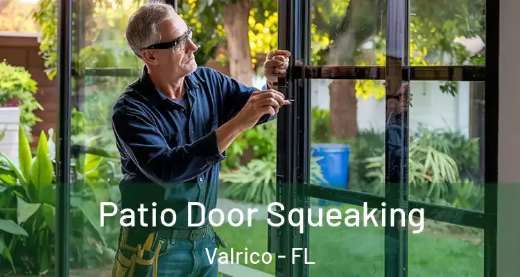  Patio Door Squeaking Valrico - FL