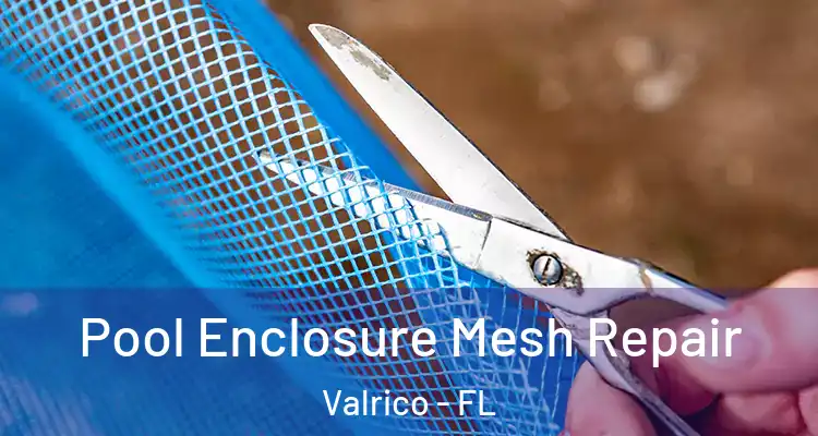 Pool Enclosure Mesh Repair Valrico - FL