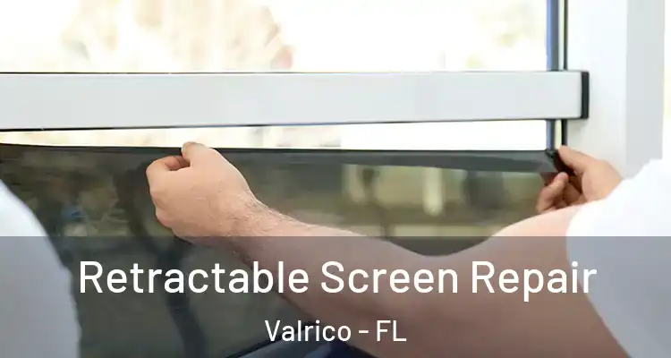  Retractable Screen Repair Valrico - FL