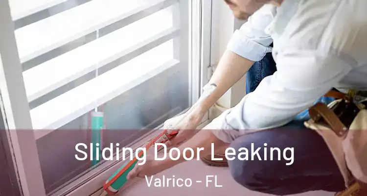  Sliding Door Leaking Valrico - FL