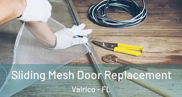 Sliding Mesh Door Replacement Valrico - FL