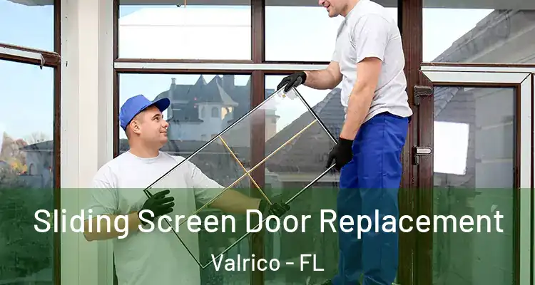  Sliding Screen Door Replacement Valrico - FL