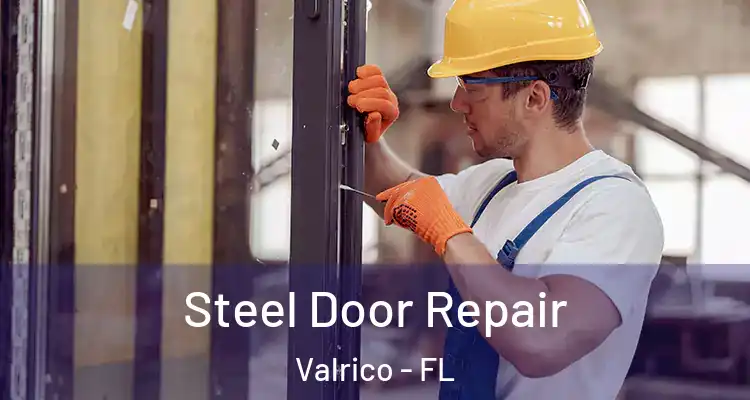  Steel Door Repair Valrico - FL
