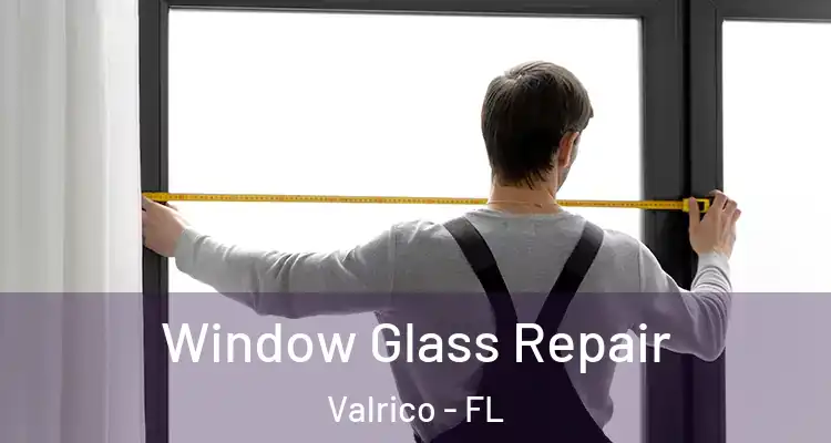  Window Glass Repair Valrico - FL