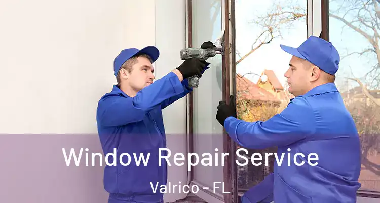  Window Repair Service Valrico - FL