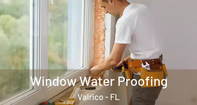  Window Water Proofing Valrico - FL